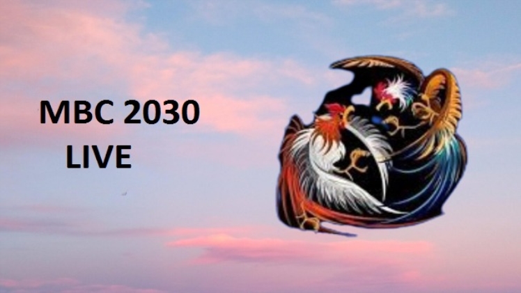 mbc 2030 live dashboard 2021
